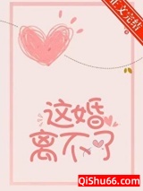 这婚离不了小说