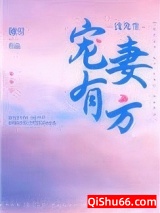 沈先生宠妻有方小说