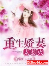 重生之鉴宝女王小说