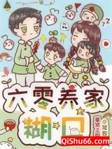 六零养家糊口小说