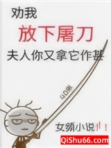 劝我放下屠刀，夫人你又拿它作甚小说