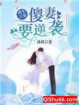 重生八零：傻妻，要逆袭小说