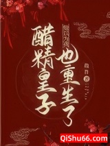 醋精皇子他以为我也重生了小说