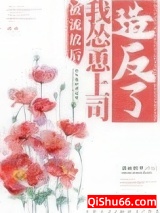 被流放后我怂恿上司造反了小说