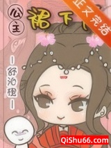 公主裙下质小说