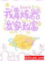 我靠炼器发家致富小说