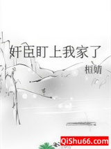 奸臣盯上我家了小说