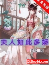 夫人如此多娇小说