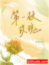 第一枝玫瑰小说