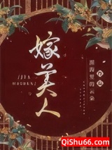 嫁美人小说
