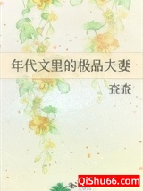年代文里的极品夫妻小说