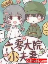 六零大院小夫妻小说