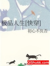极品人生[快穿]小说
