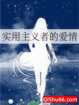 实用主义者的爱情小说