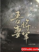 夫君又掉马甲了小说