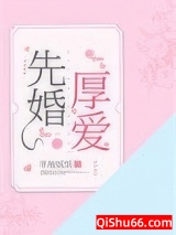 先婚厚爱小说