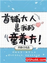 首辅大人是我童养夫小说