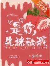 是你先撩的我小说