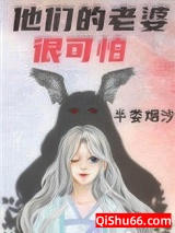 他们的老婆很可怕小说