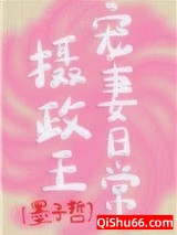 摄政王宠妻日常小说