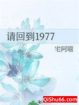 请回到1977小说