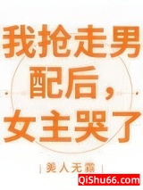 我抢走男配后，女主哭了小说