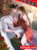 我才不想高攀你小说