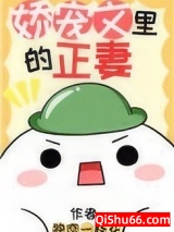 娇宠文里的正妻小说