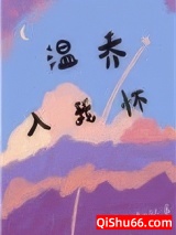 温乔入我怀小说