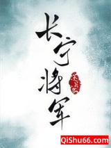 长宁将军小说