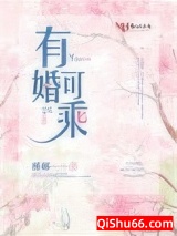 有婚可乘小说