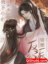 穿书后我不小心错撩了反派小说