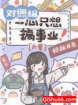 对照组一心只想搞事业[六零]小说