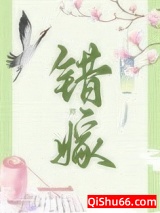 错嫁（重生）小说