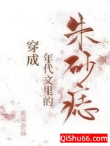 穿成年代文里的朱砂痣小说