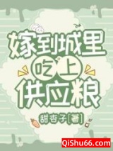 嫁到城里，吃上供应粮小说
