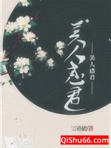 美人惑君小说