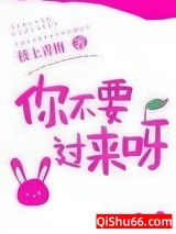 你不要过来呀小说