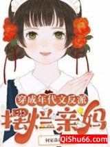 穿成年代文反派摆烂亲妈小说