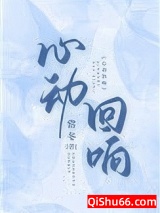 心动回响小说