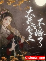 大长公主不嫁了小说