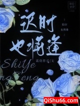 迟时也将逢小说