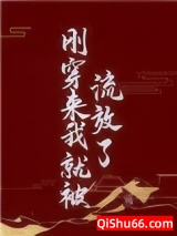 刚穿来我就被流放了小说