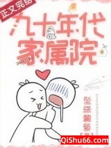 九十年代家属院小说