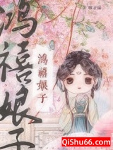 鸿禧娘子（科举）小说