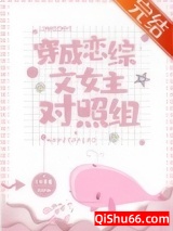 穿成恋综文女主对照组小说