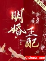 明婚正配小说
