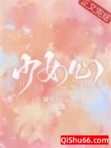 少女心小说