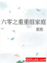 六零之重重组家庭小说