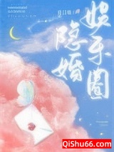 娱乐圈隐婚小说